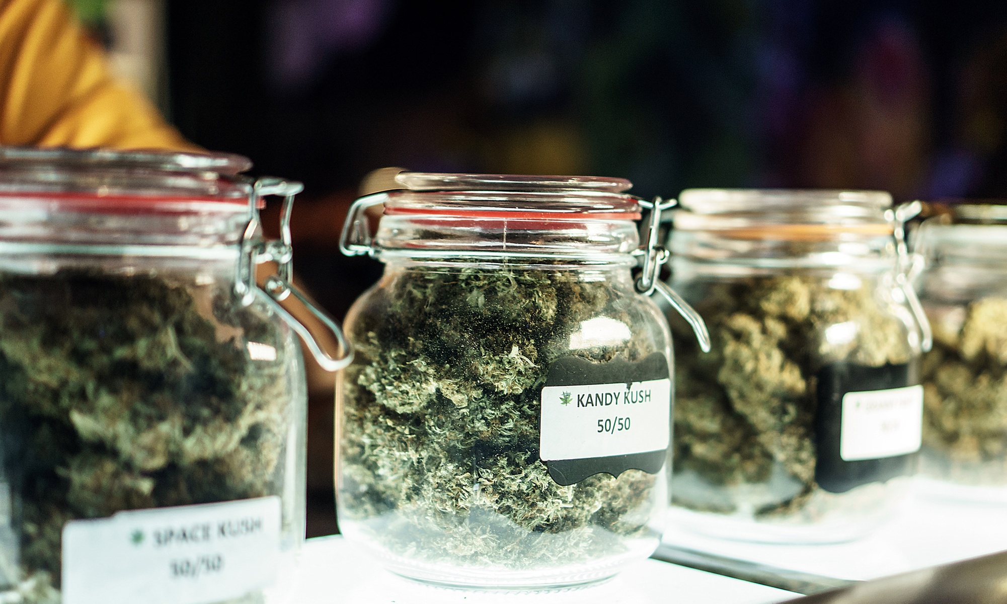 Master Hemp Growing with Online Courses