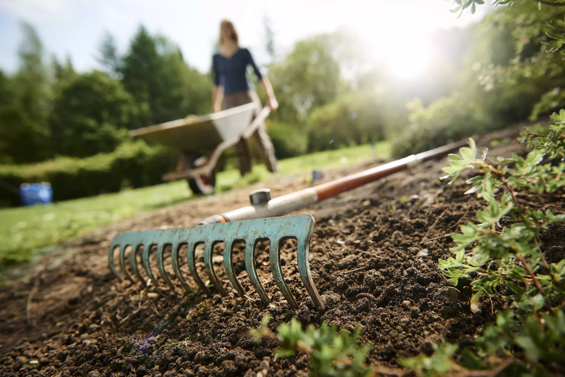 Up to 20% Off on Gardener at Secret Gardens Landscape of Charleston - Primary Image