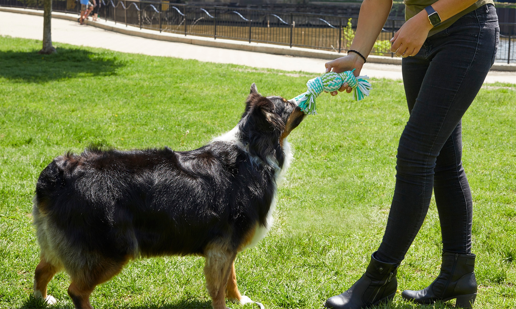 Yard Basics, Fresh Paws, or VIP Pup Royalty Plan with Add-On Options