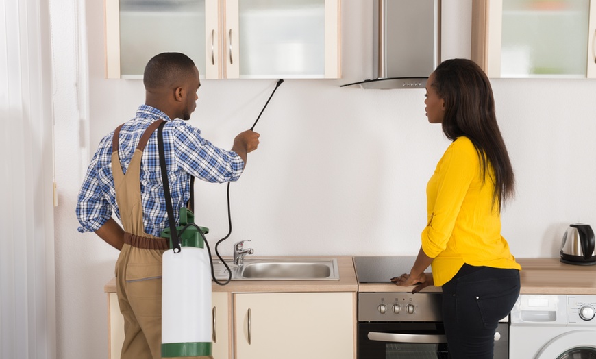 Image 1: Up to 49% Off on Pest Control Service - General at Ksb Pest Control