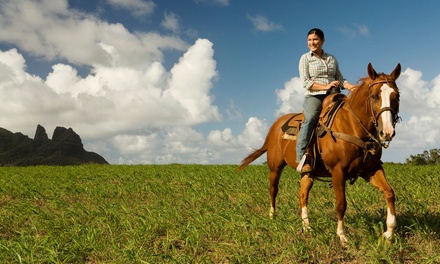 Five Private Horseback Riding Lessons; Valid Any Day - Oxbow Stables