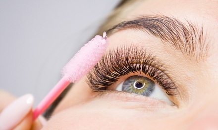 One Eyebrow- and Eyelash-Tinting Treatment; New Clients Only - Accolades Salon Spa