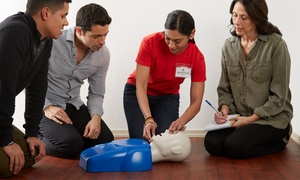 First Aid Online Course Bundle