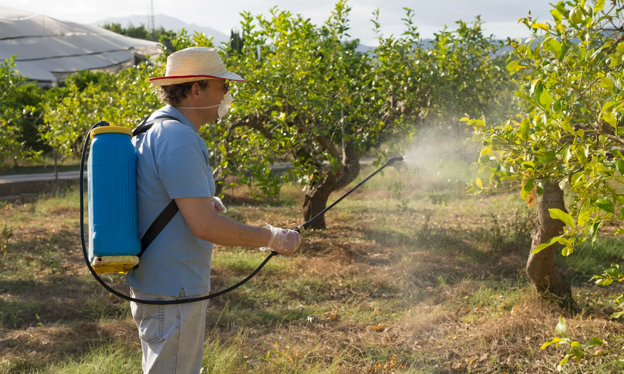 Pest-Control Services for Up to 2,000 or 3,500 Square Feet from Bugs R Us Pest Control (Up to 58% Off) - Primary Image