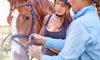 Two, Three, or Four Horseback-Riding Lessons at Miami International Riding Club (Up to 60% Off)