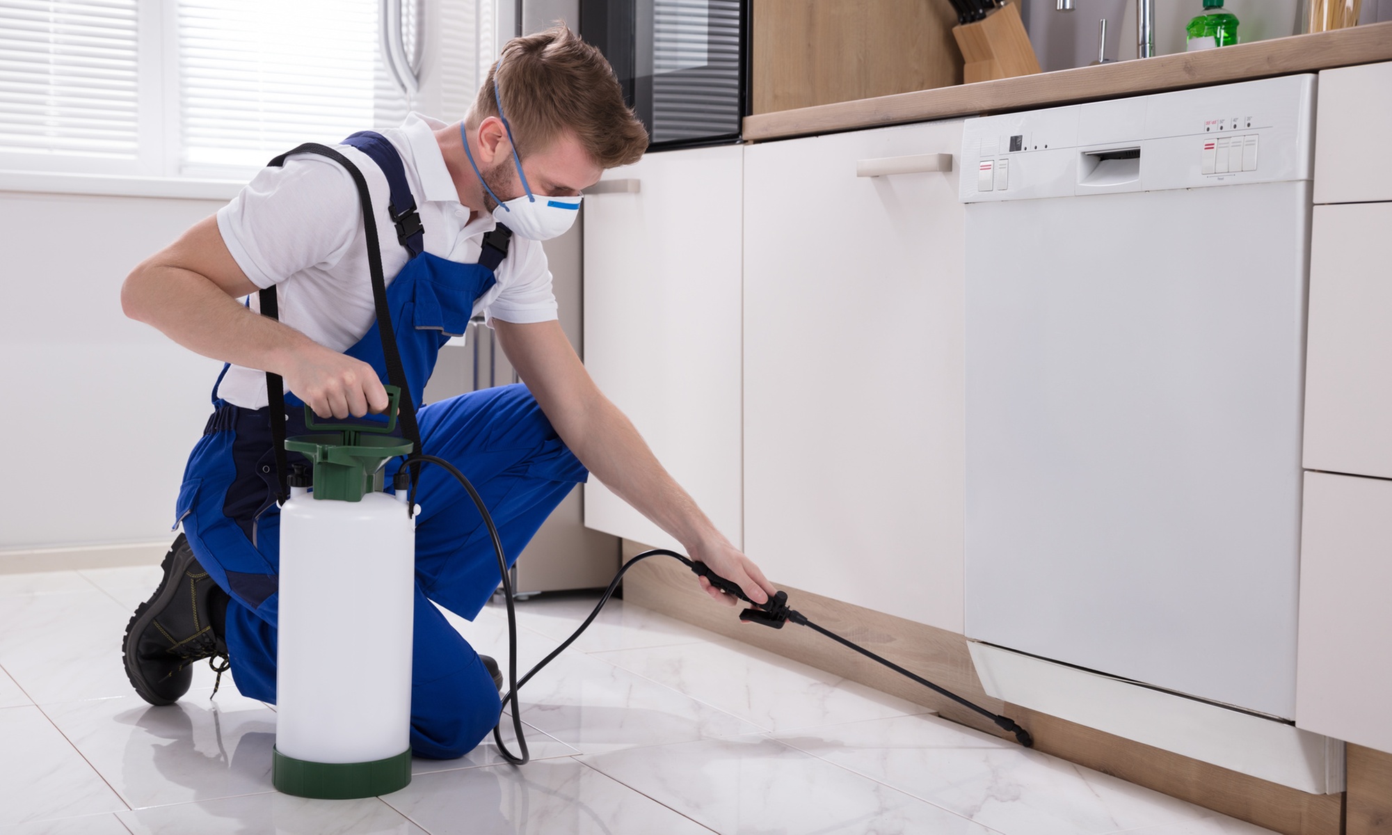 Up to 46% Off on Pest Control Service