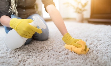 2-Hour Precision Cleaning for House or Room (One Cleaner) - Project 725
