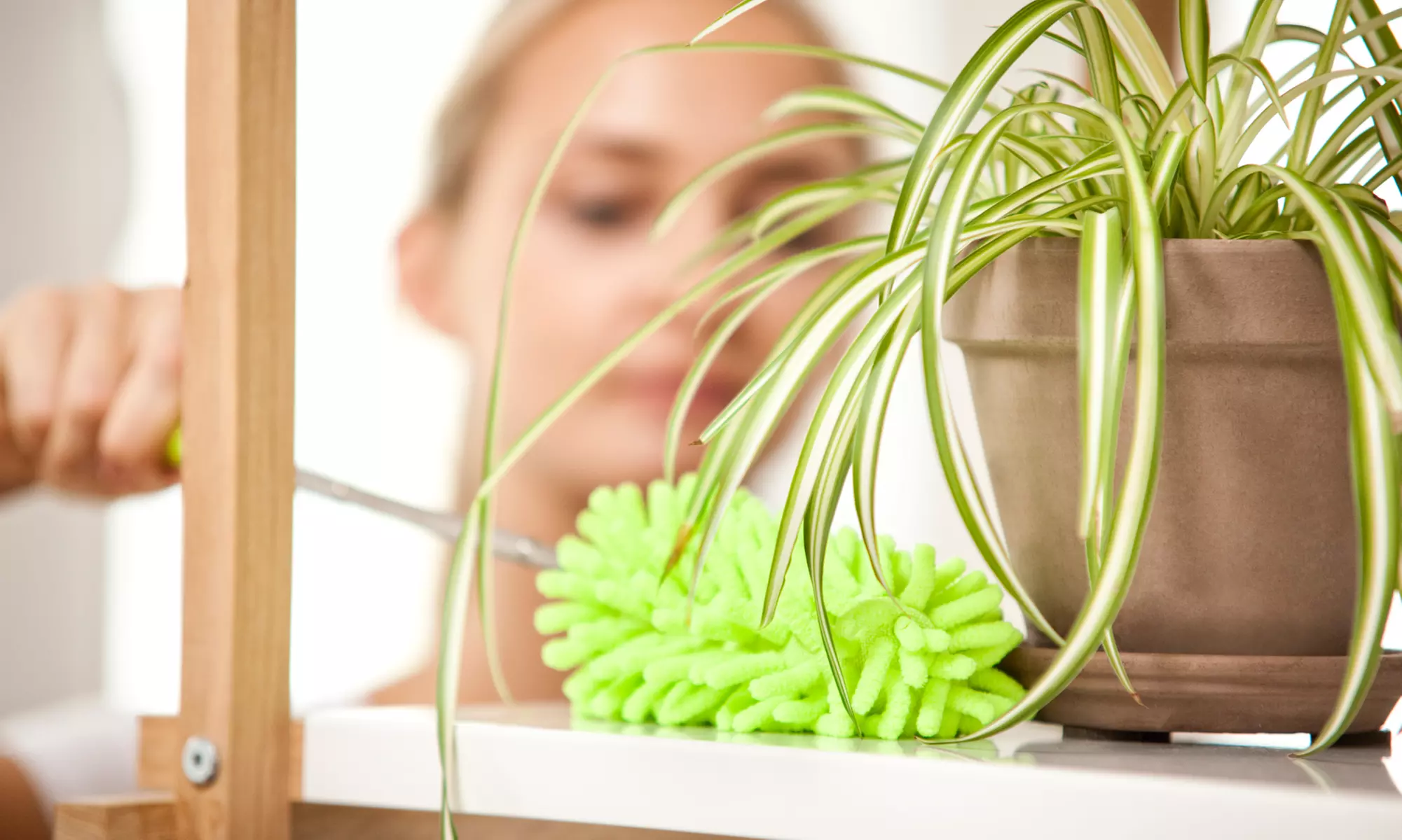 Up to Eight Hours of House Cleaning from Rise N Shine Window Cleaning (Up to 53% Off)  - Primary Image