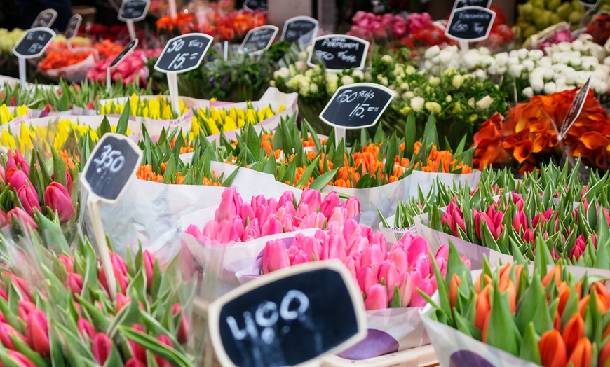 Image 14: ✈ Amsterdam 4*: volo diretto più 4 notti in hotel 