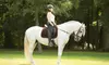 Scenic Four or Six Lessons for Tiny Tot Rider or Beginner Rider at Redwing Farm LLC (Up to 54%Off)