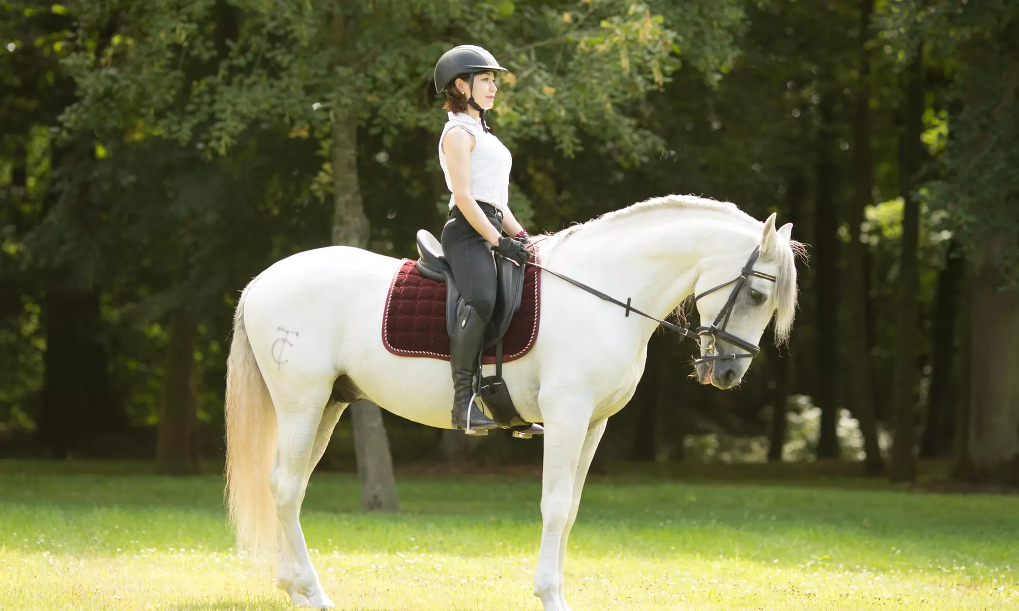 Scenic Four or Six Lessons for Tiny Tot Rider or Beginner Rider at Redwing Farm LLC (Up to 54%Off) - Primary Image