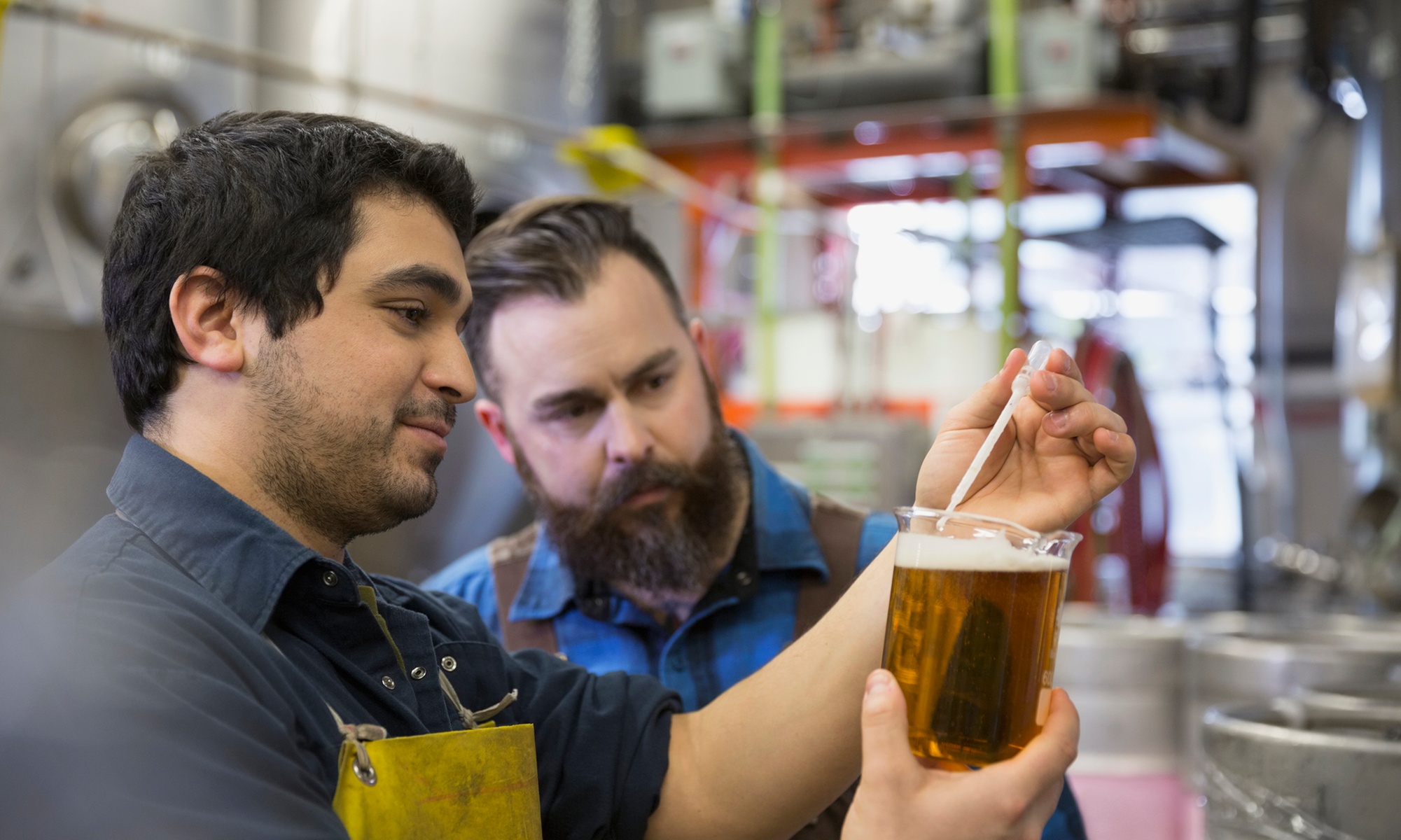 Explore Brewery Tours with Meals and Souvenirs
