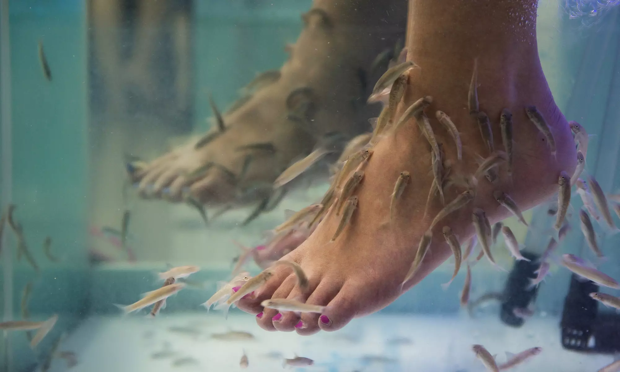 Fish Spa Experience and Optional Foot Detox Bath at Garra Spas (Up to 38% Off). Four Options Available. - Primary Image
