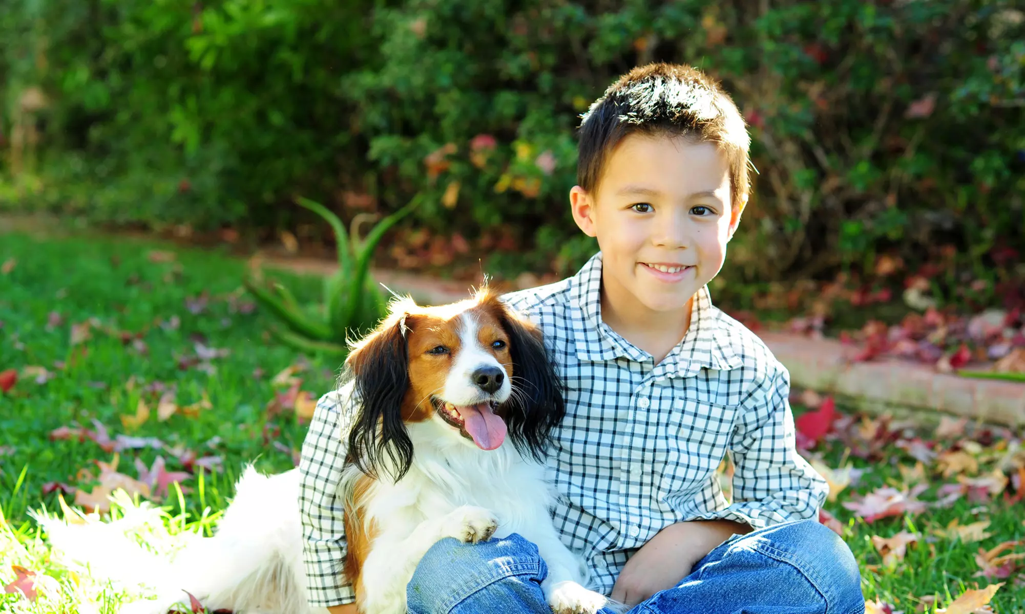 Outdoor Photography with Edited Digital Images at DaBa Photography
