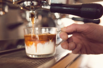 Barista Fundamentals - Brewed By Jose