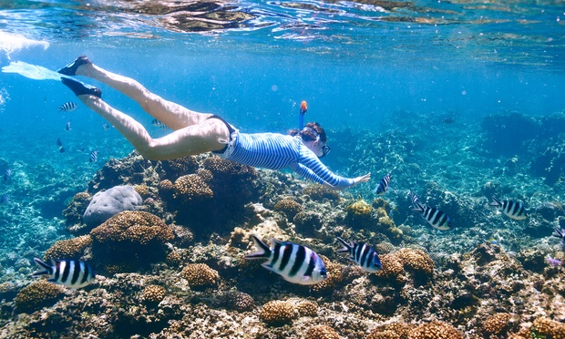 What to expect media