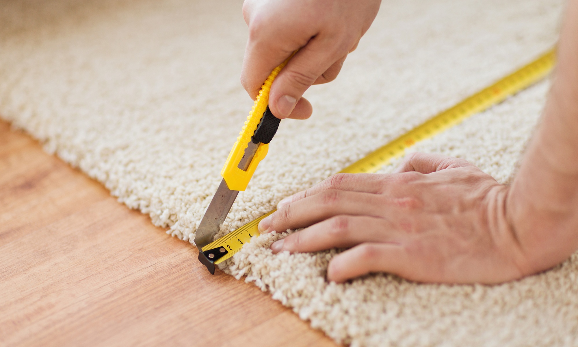 Rug Cleaning & Steam Services + Odor Removal, Fiber Protection & Packs