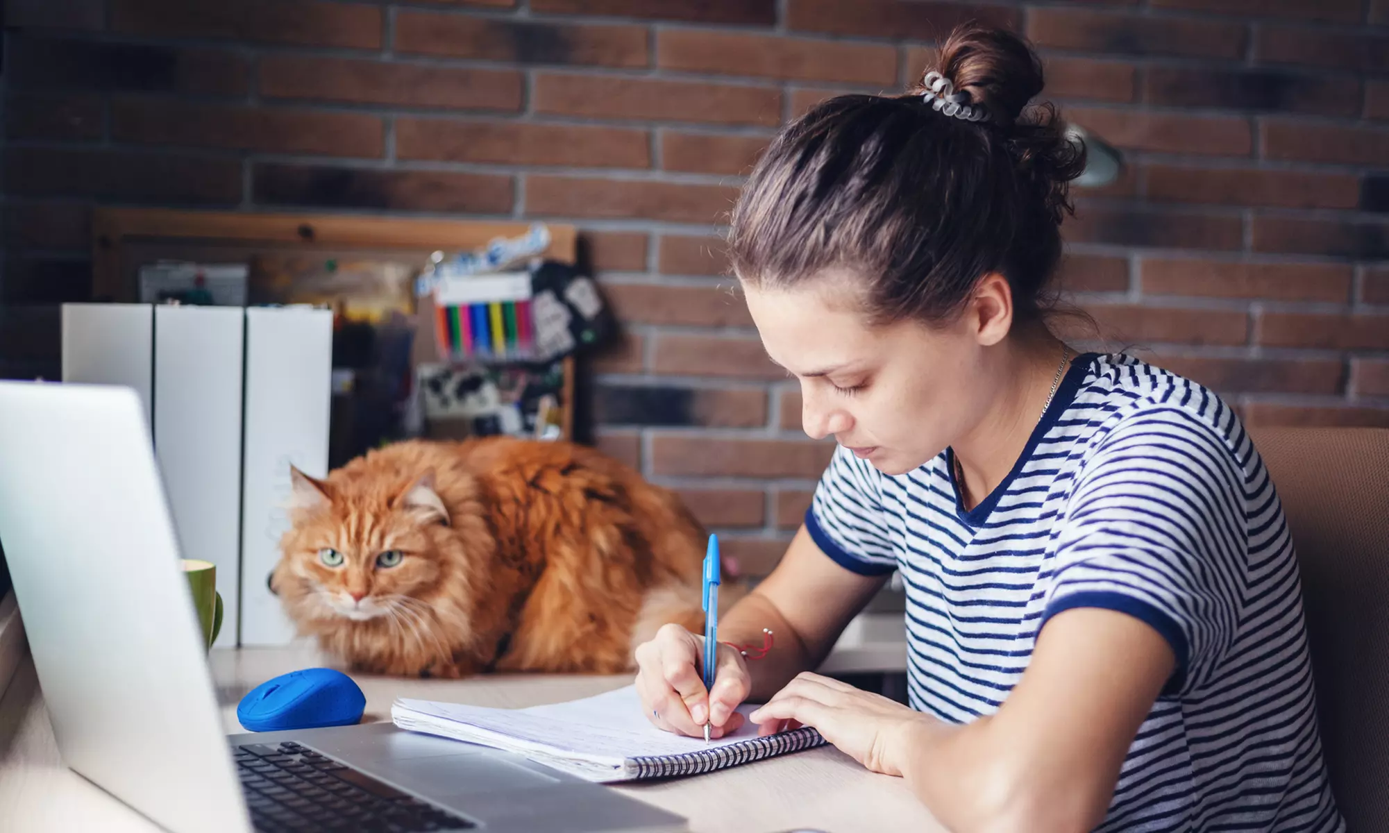 Boost Your Cleaning Career with COSHH Training for Cleaners