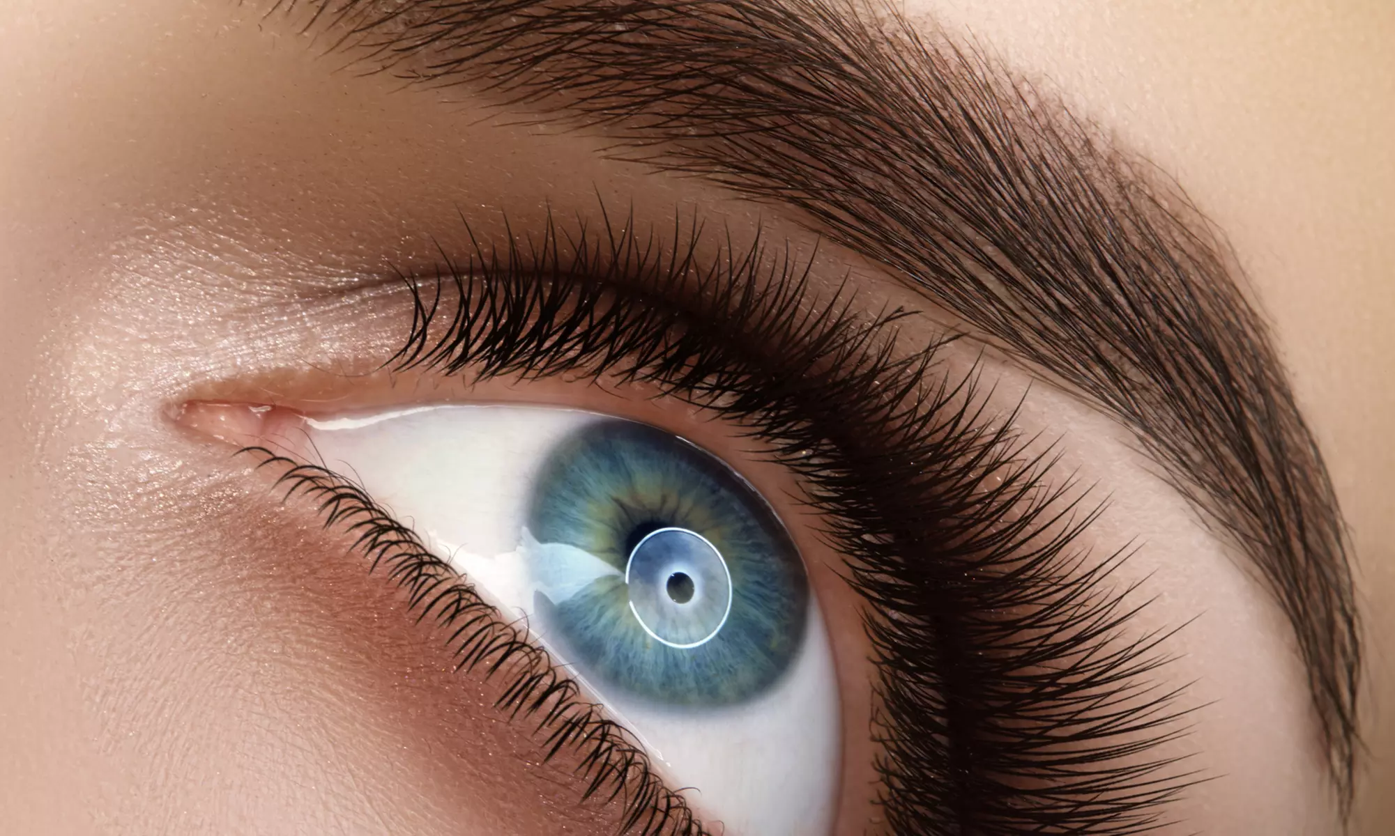 Up to 31% Off on Eyelash Tinting at L-evated Beauty - Primary Image