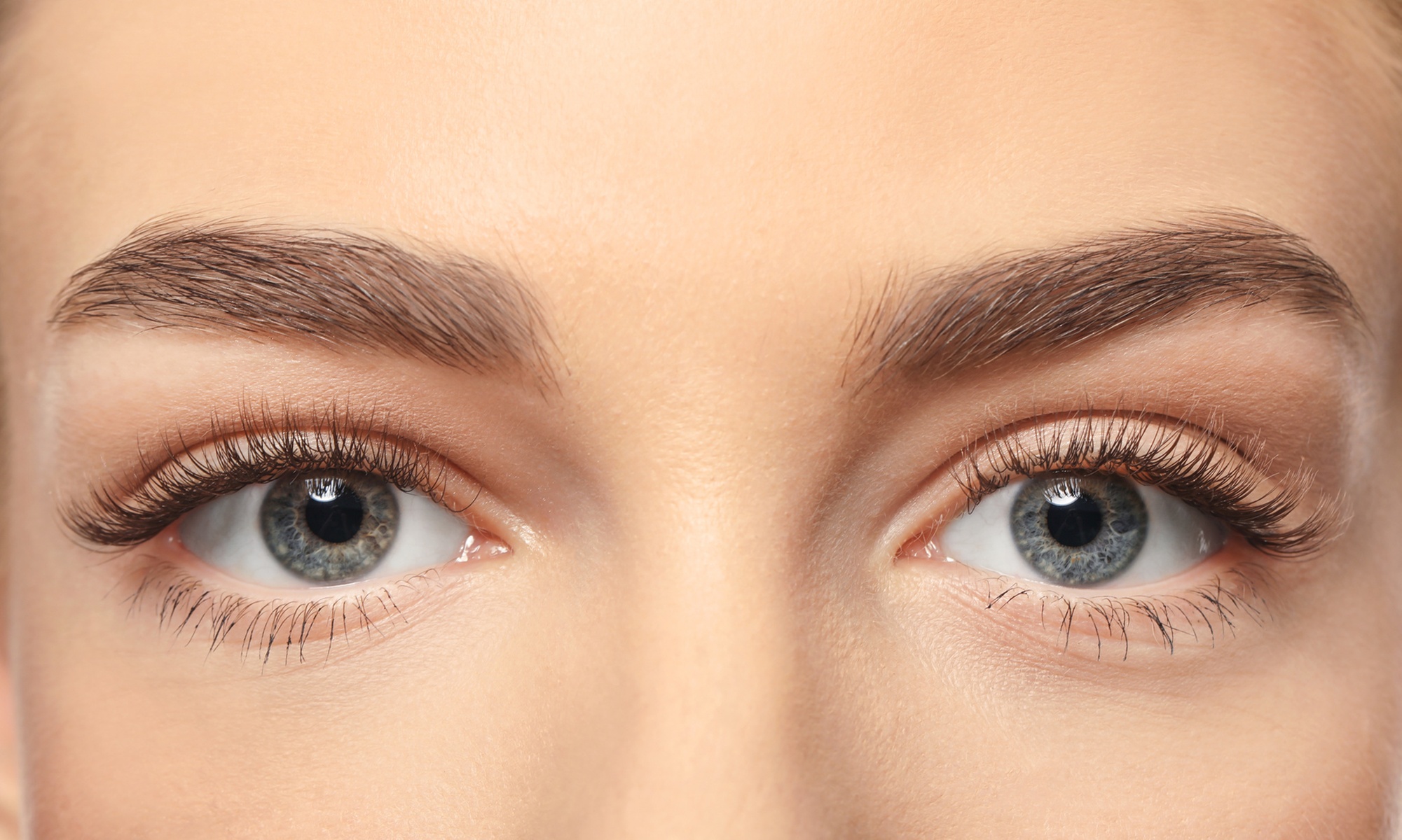 One Lash Lift and Tint at Amazing Lash Studio