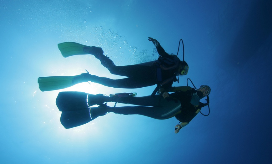 Image 1: Cours de plongée en solo ou duo