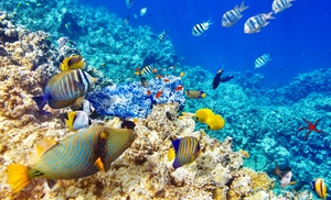 ✈ Hurghada: 3-7 Nights with All-Inclusive, Airport Passes and Flights