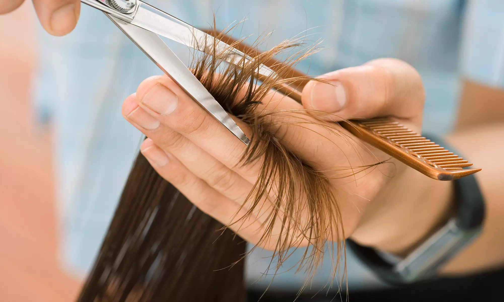 Get a Fresh Style with a Haircut, Blowdry, Conditioning, & Highlights