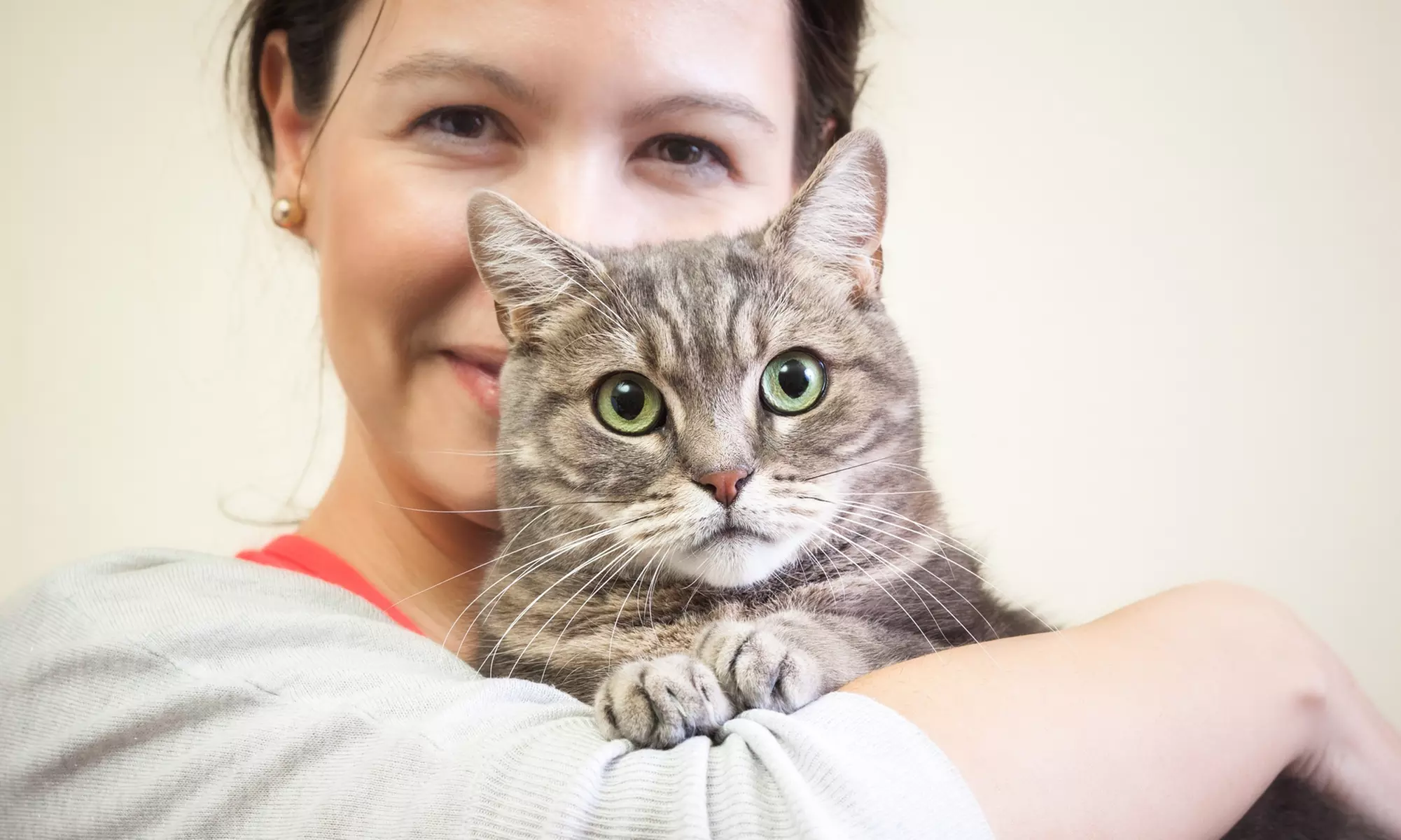 Kurs online: Koci behawiorysta: podstawy opieki nad kotem z MEN z Instytutem Rozwoju Inspiraton - Primary Image