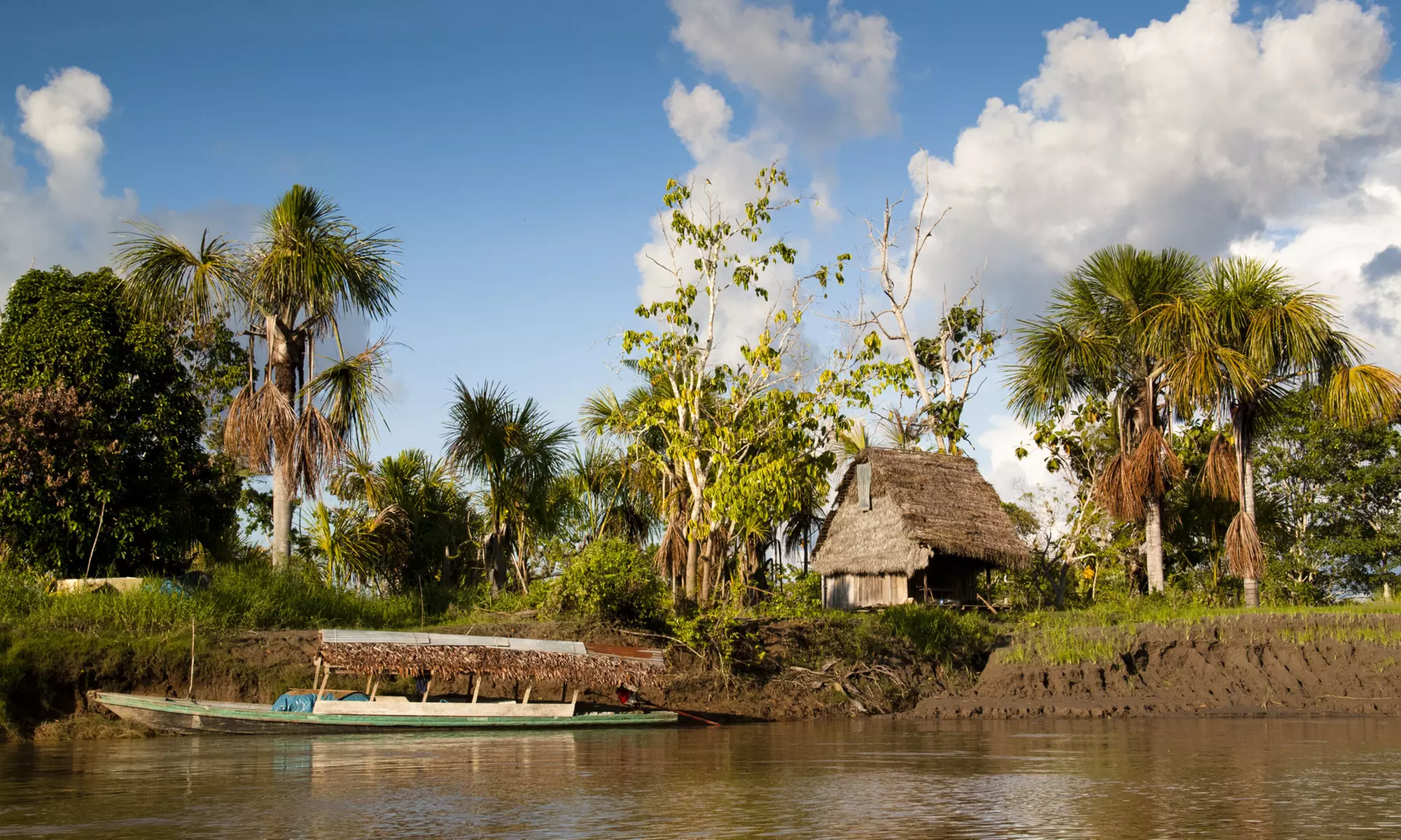 African Village Tour for One, Two, or Four with Optional Lunch at Oyotunji African Village (Up to 32% Off) - Primary Image