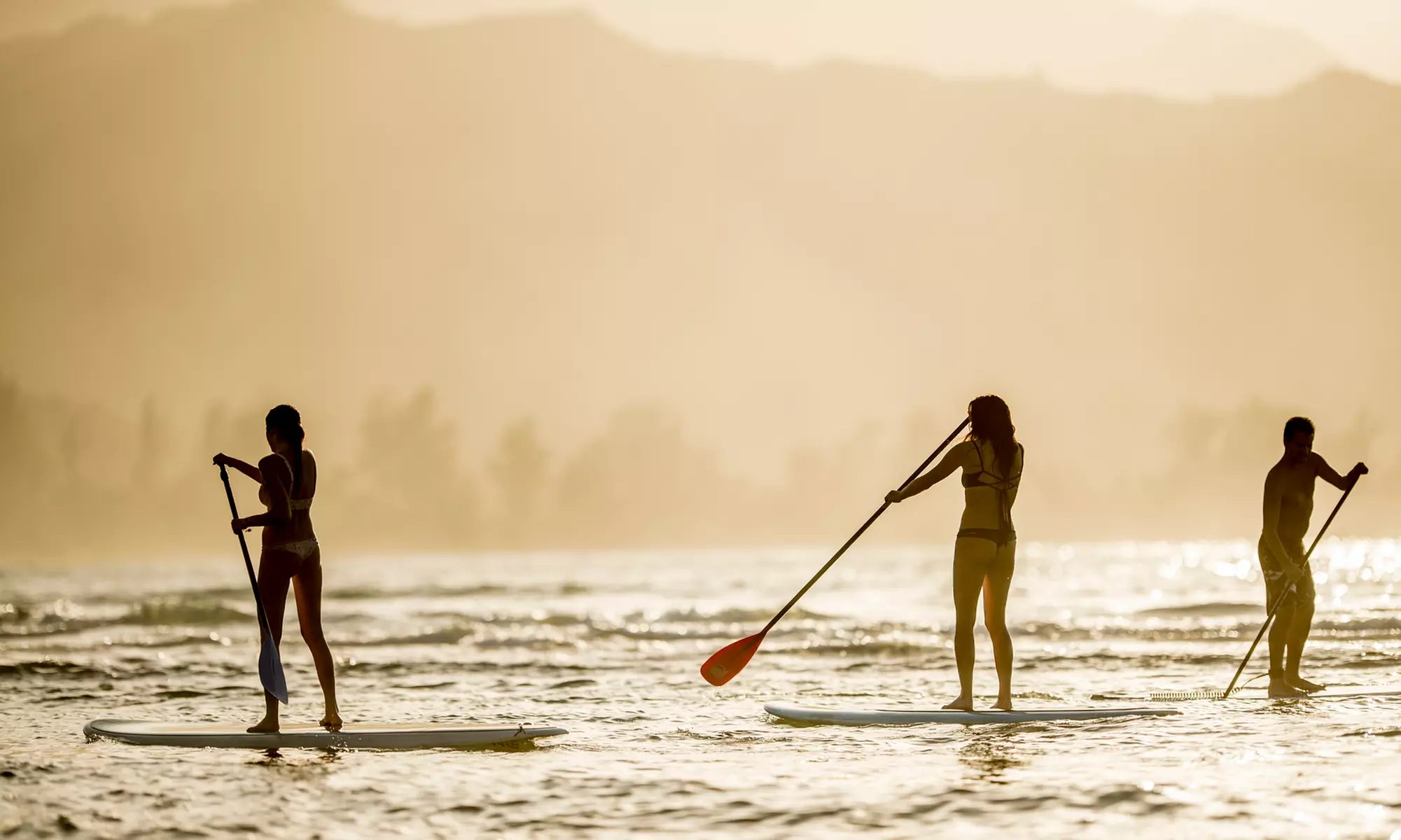 Standup Paddleboard Rental or Beach Party from SD LIVINIT (Up to 50% Off). Eight Options Available. - Primary Image