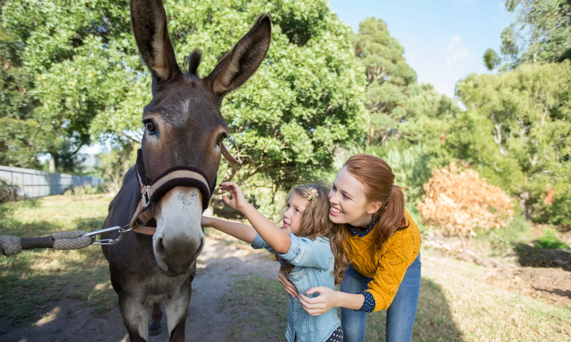 Explore DK Farms and Gardens with a Capybara Adventure for 2,3, or 7 Visitors (Up to 30% Off) - Primary Image