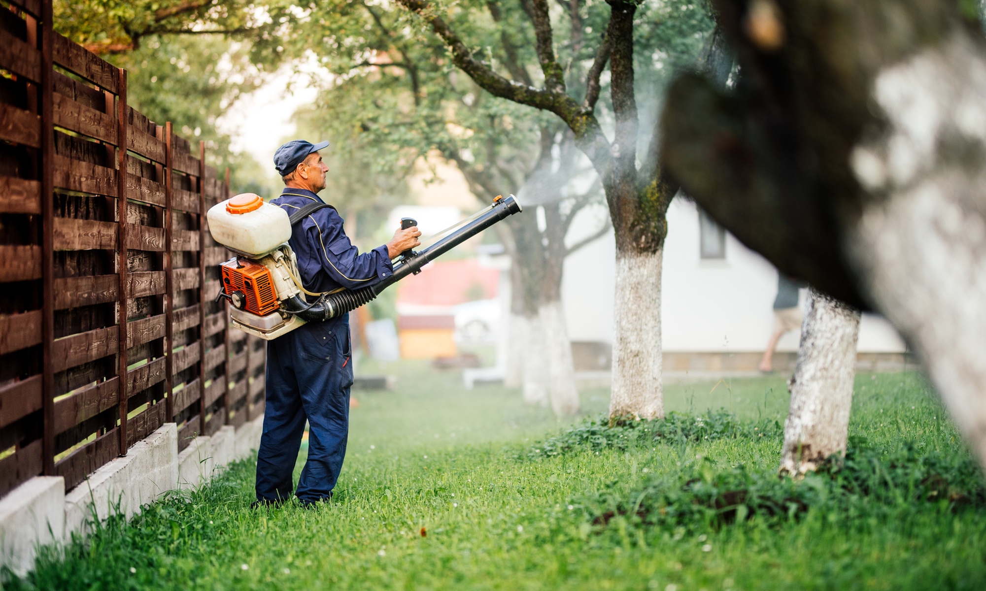 General Pest Control Service for Mosquitoes and Ticks