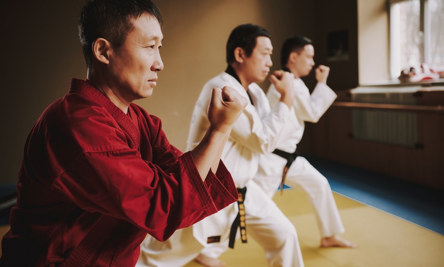 Image 1: Explore Three or One Month of Unlimited Martial Arts Classes