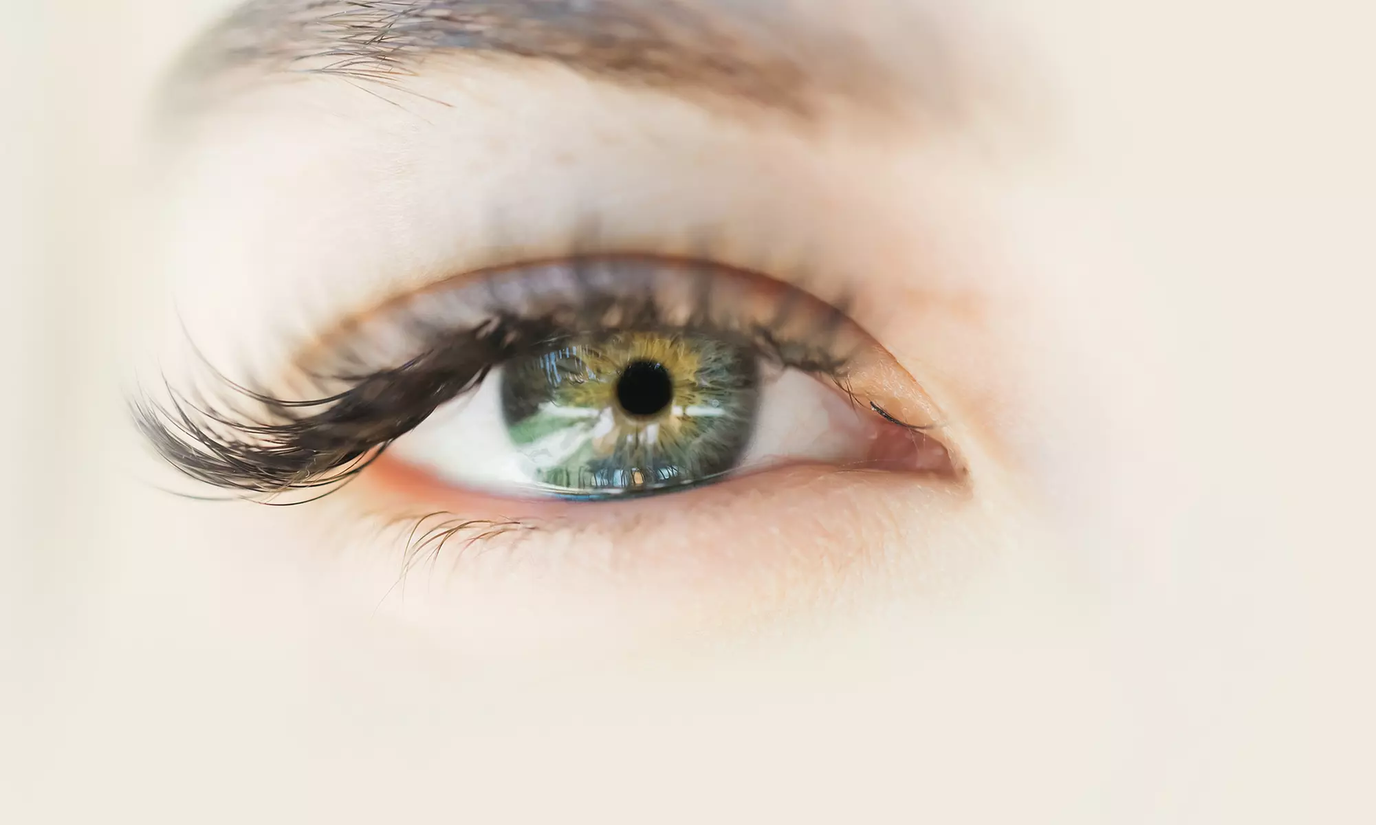 Get a Natural Set or Full Set of Cluster Eyelashes + 2 Week Fill, Brow Lamination or Tint  @Bodhi (Up to 32%Off) - Primary Image