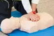 Professional Health Safety Institute: CPR & First Aid, ACLS, or PALS Training & Cerification (Up To 33% Off) - Second Medium