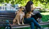 Trustworthy Pet Boarding and Grooming Services at A1Sitter LLC - Up to 20% Off