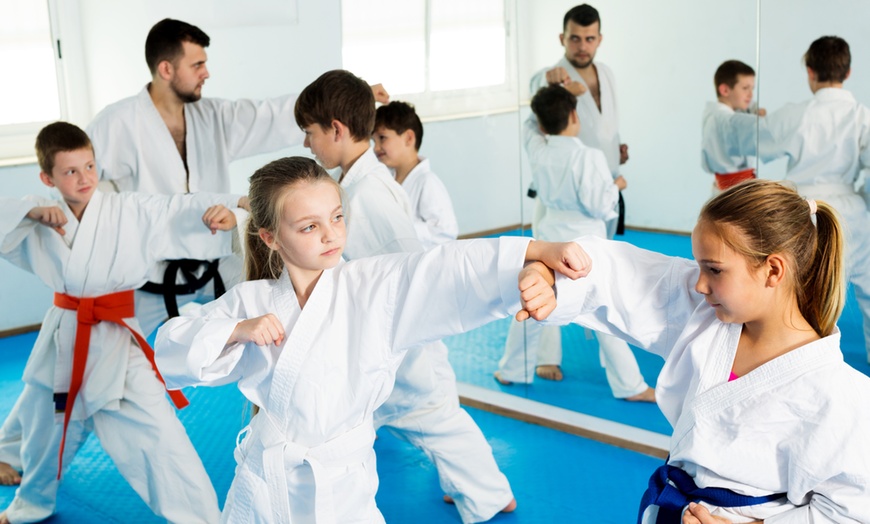 Martial Art Classes - Taekwondo USA Karate For Kids | Groupon