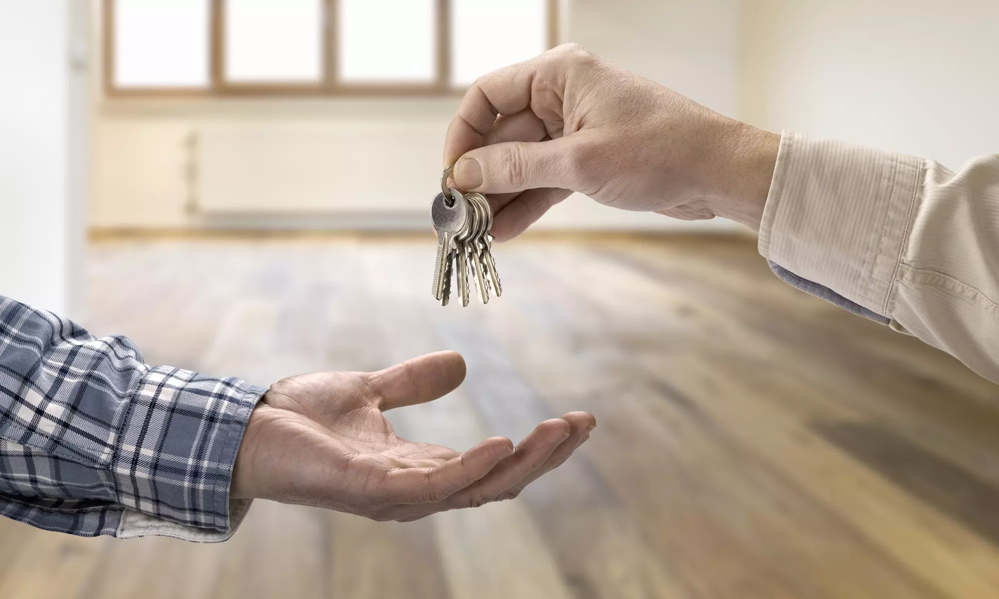 Room4you24 – dein zuverlässiger Partner für die Wohnungssuche mit bis zu 12 Monaten Laufzeit