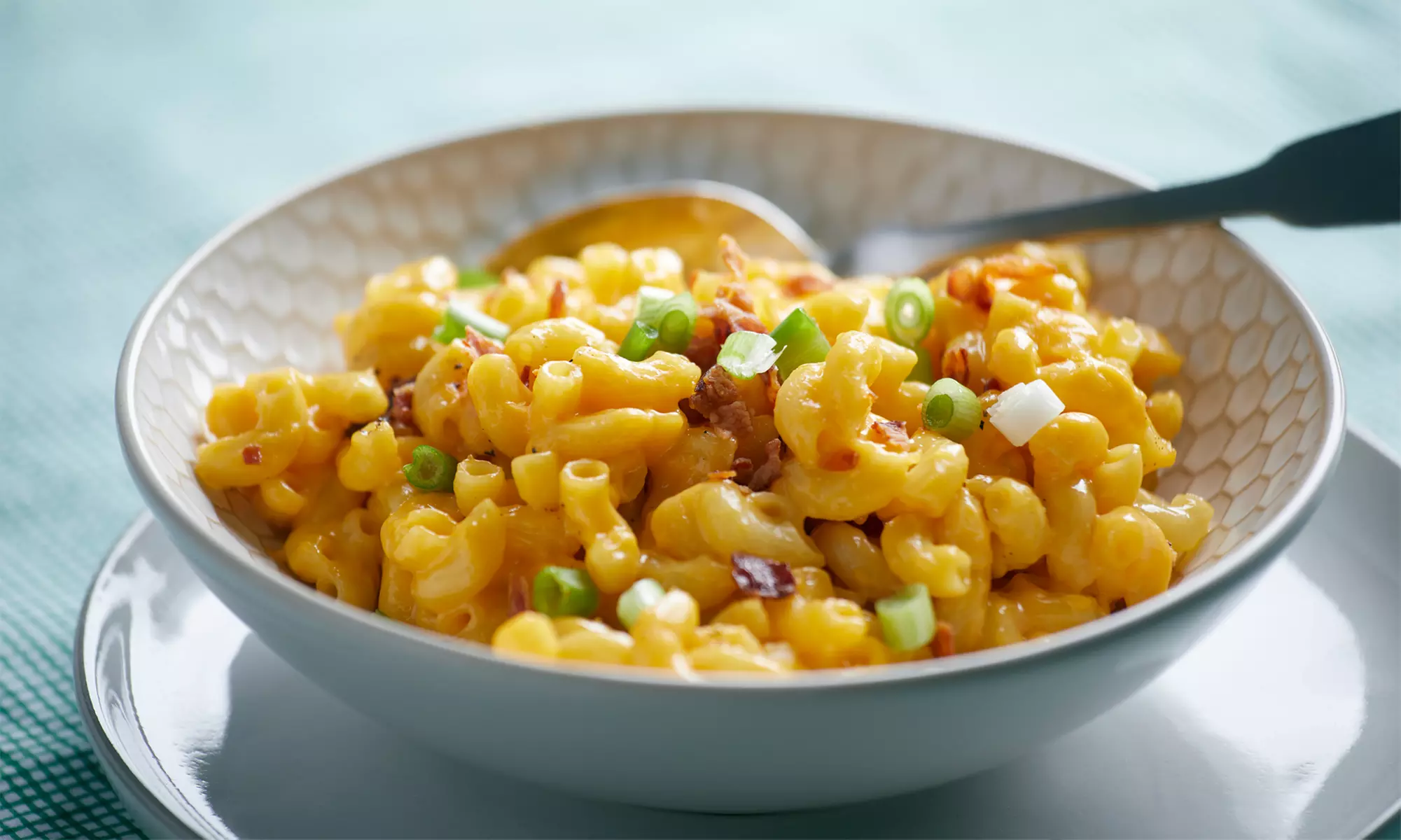 Up to 25% Off on Macaroni & Cheese at The Mac And Grill Cheese Factory - Primary Image