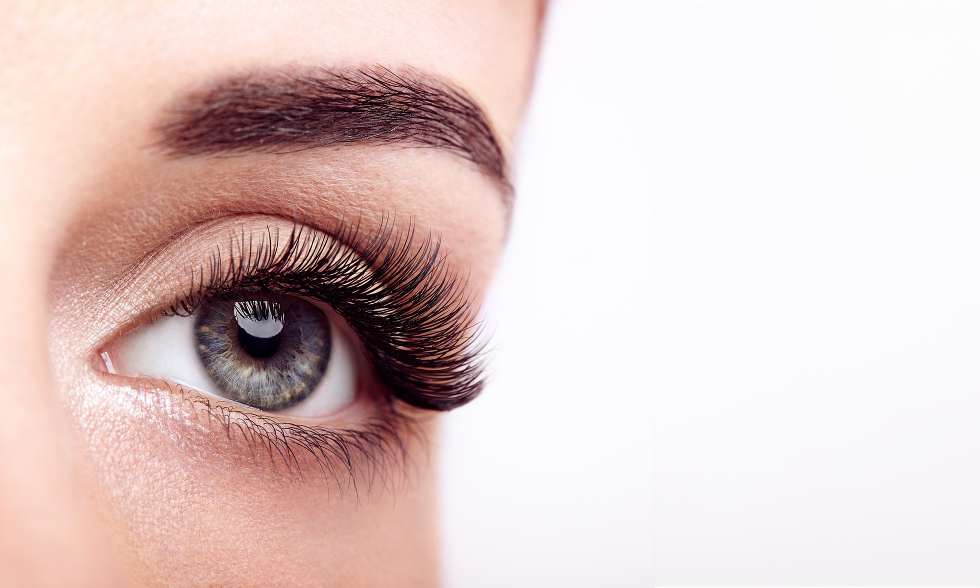 Online Lash Lift & Tint Training & Certification E-Course