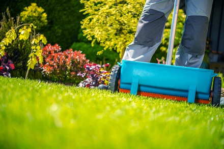 Four Man-Hours of Landscaping and Yard Clean-Up - Chism Property Services LLC