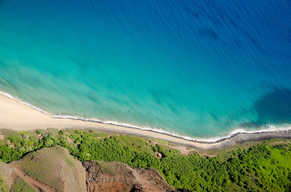 What to expect media