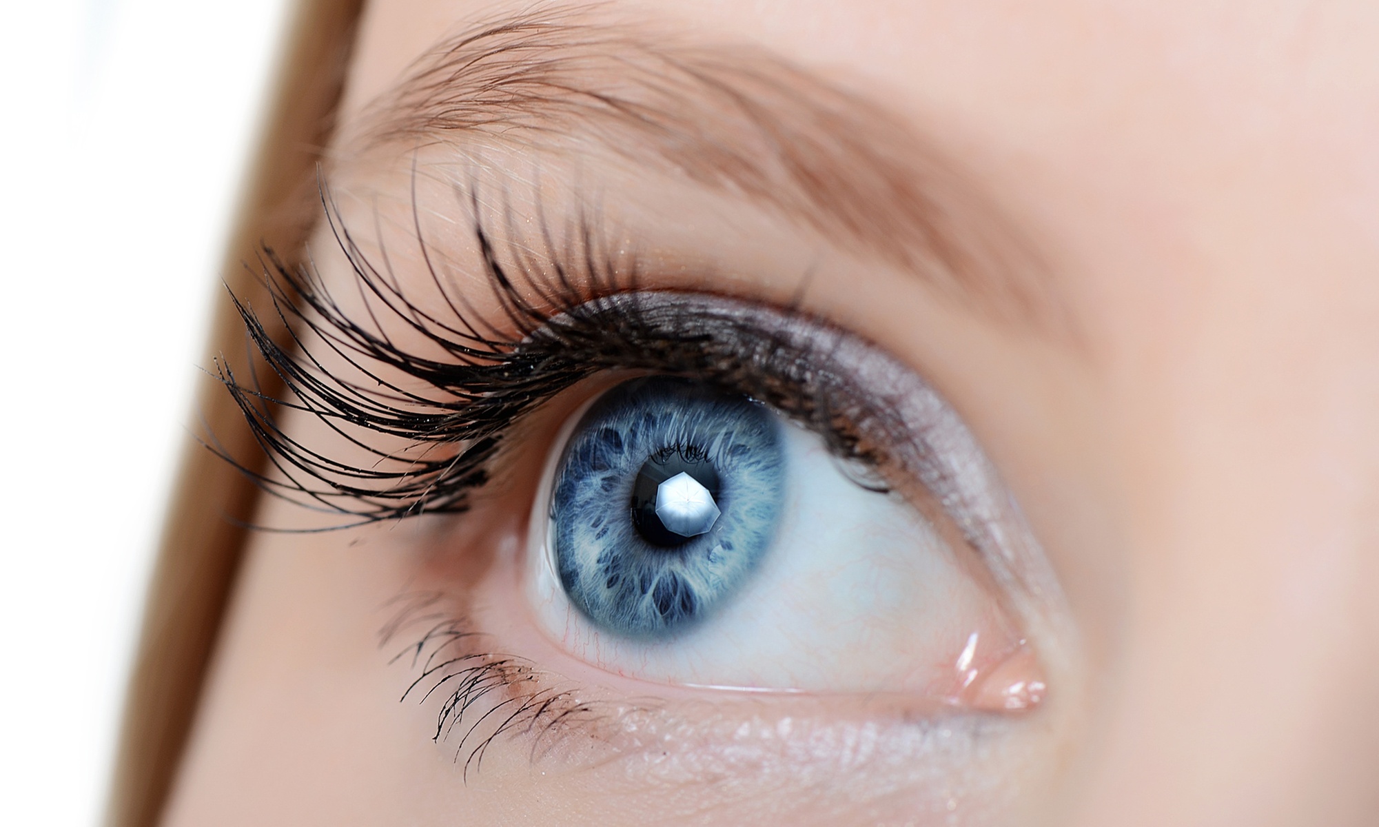 Enhance Your Look with Elleebana Lash Lift & Tint Options