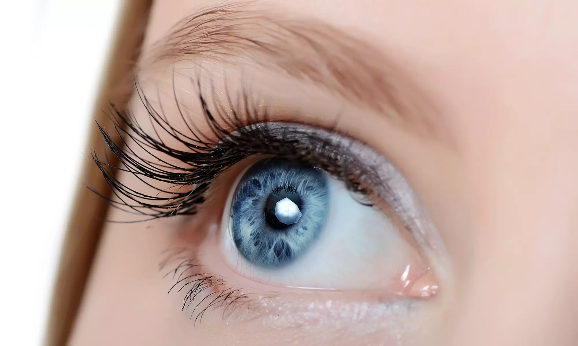 Explore Elleebana Lash Lift & Tint Options at Get Your Beauty On, achieving fuller lashes up to 25% off. - Primary Image