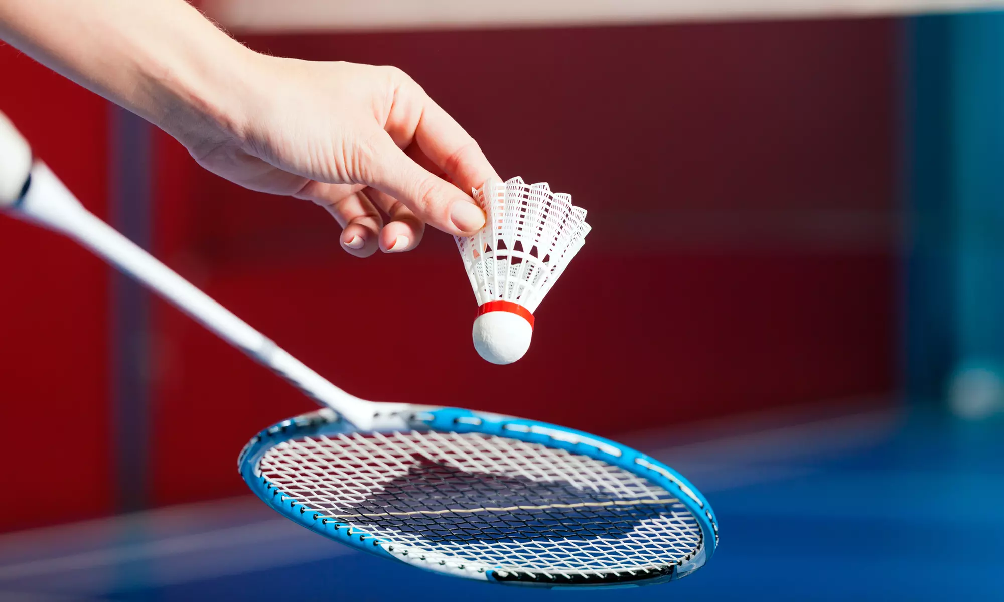 60 Min. Badminton inkl. Schläger und Ball, für 2 oder 4 Personen, im Sportpoint Meckenheim (bis zu 38% sparen) - Primary Image