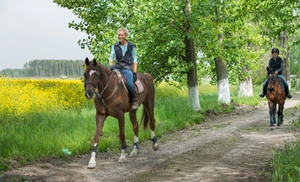 Horseback Trail Ride