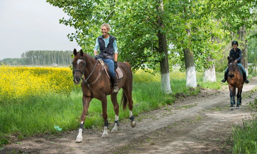 Image 1: Horse-Riding Experience for Two