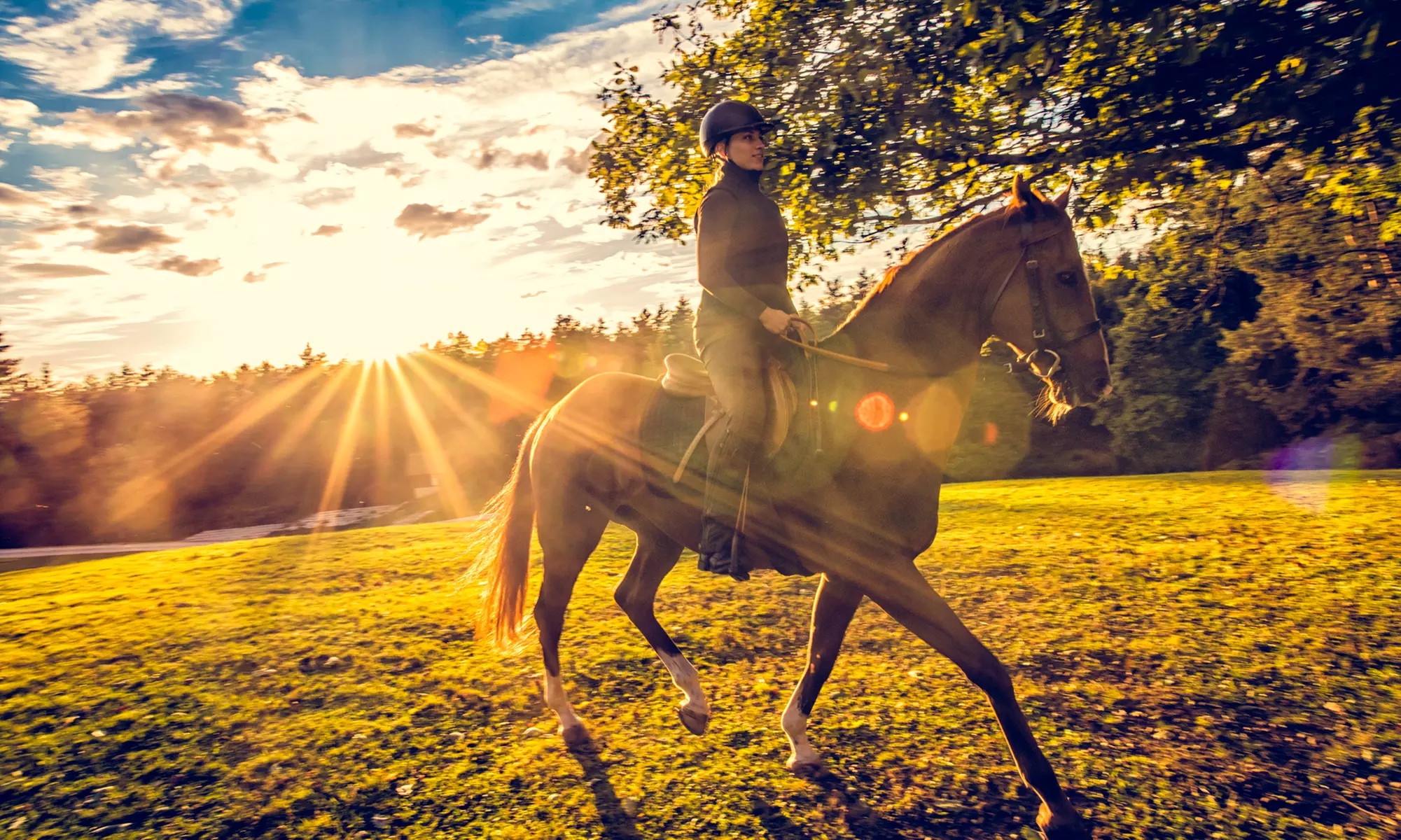 One 90-Minute Semi-Private Horseback-Riding Lesson for 1 or 2 at Rancho Palomino, Santa Barbara (Up to 19% Off) - Primary Image