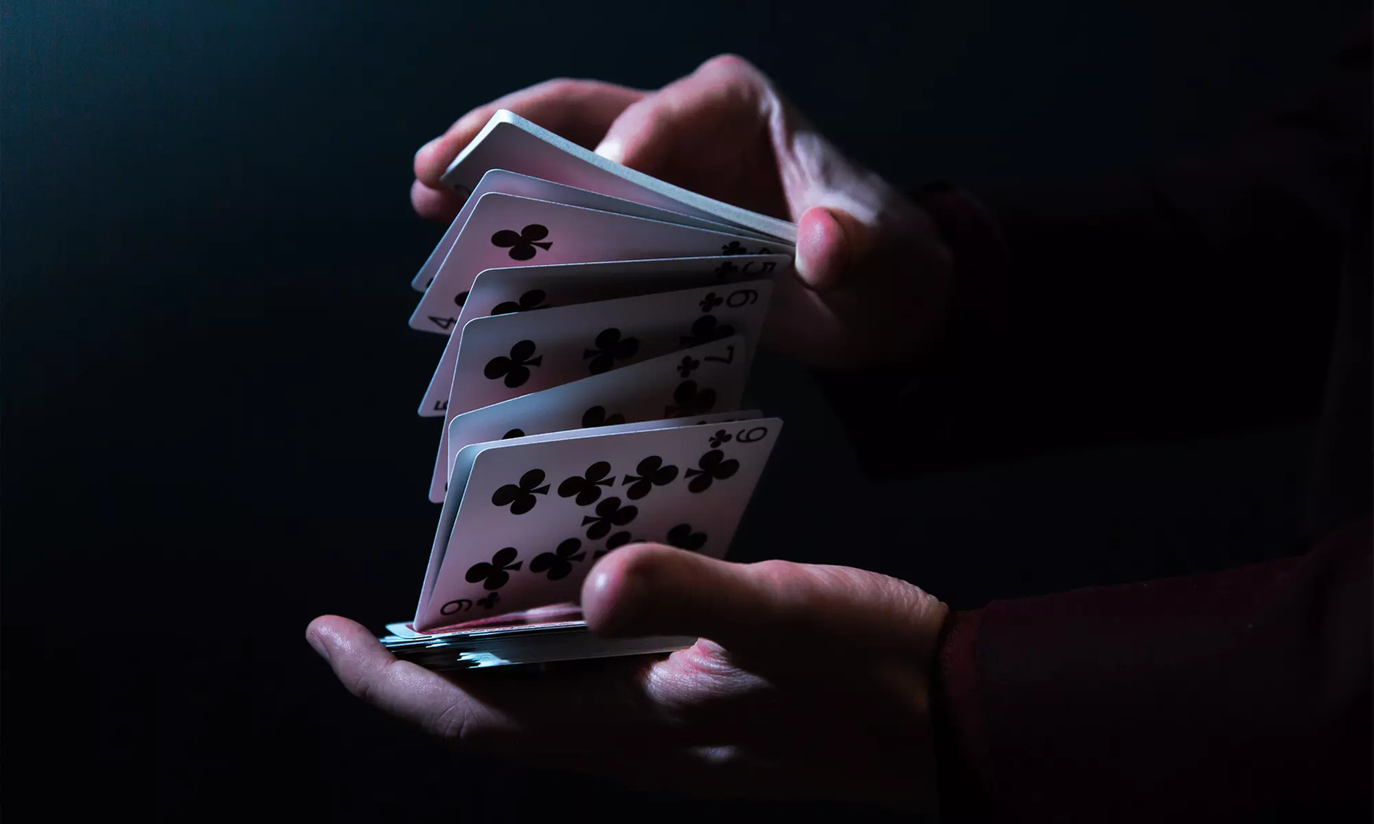 Blueys Big Play Tickets - Primary Image