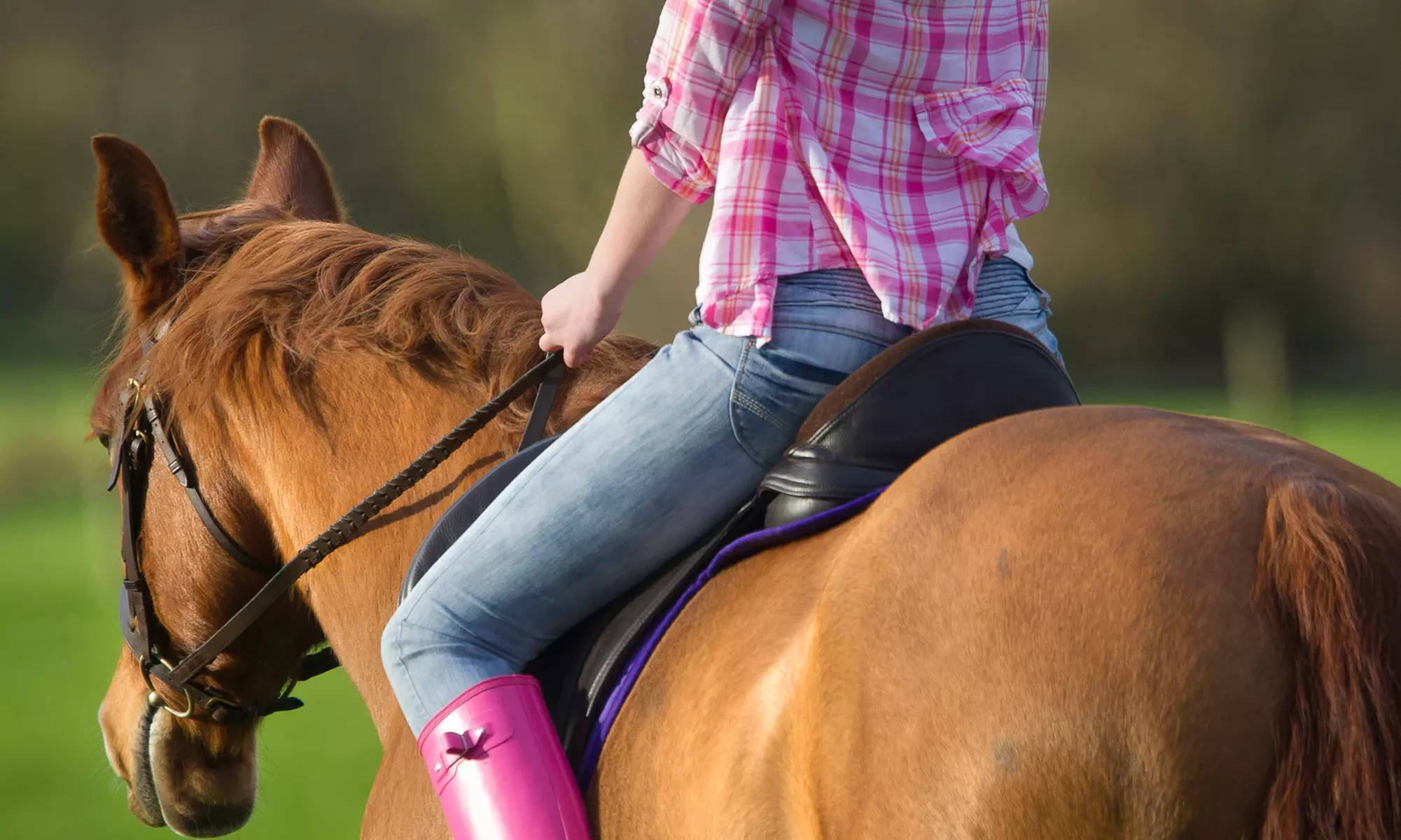 30- or 60-Minute Horseback-Riding Lesson at Crescent Farms (Up to 35% Off) - Primary Image
